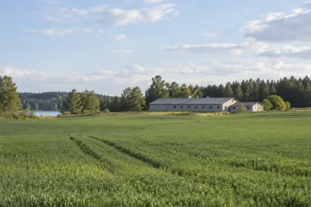 Gröna odlingsfält och ekonomibyggnad på landsbygd under ljus himmel