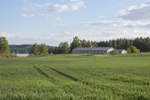 Gröna odlingsfält och ekonomibyggnad på landsbygd under ljus himmel