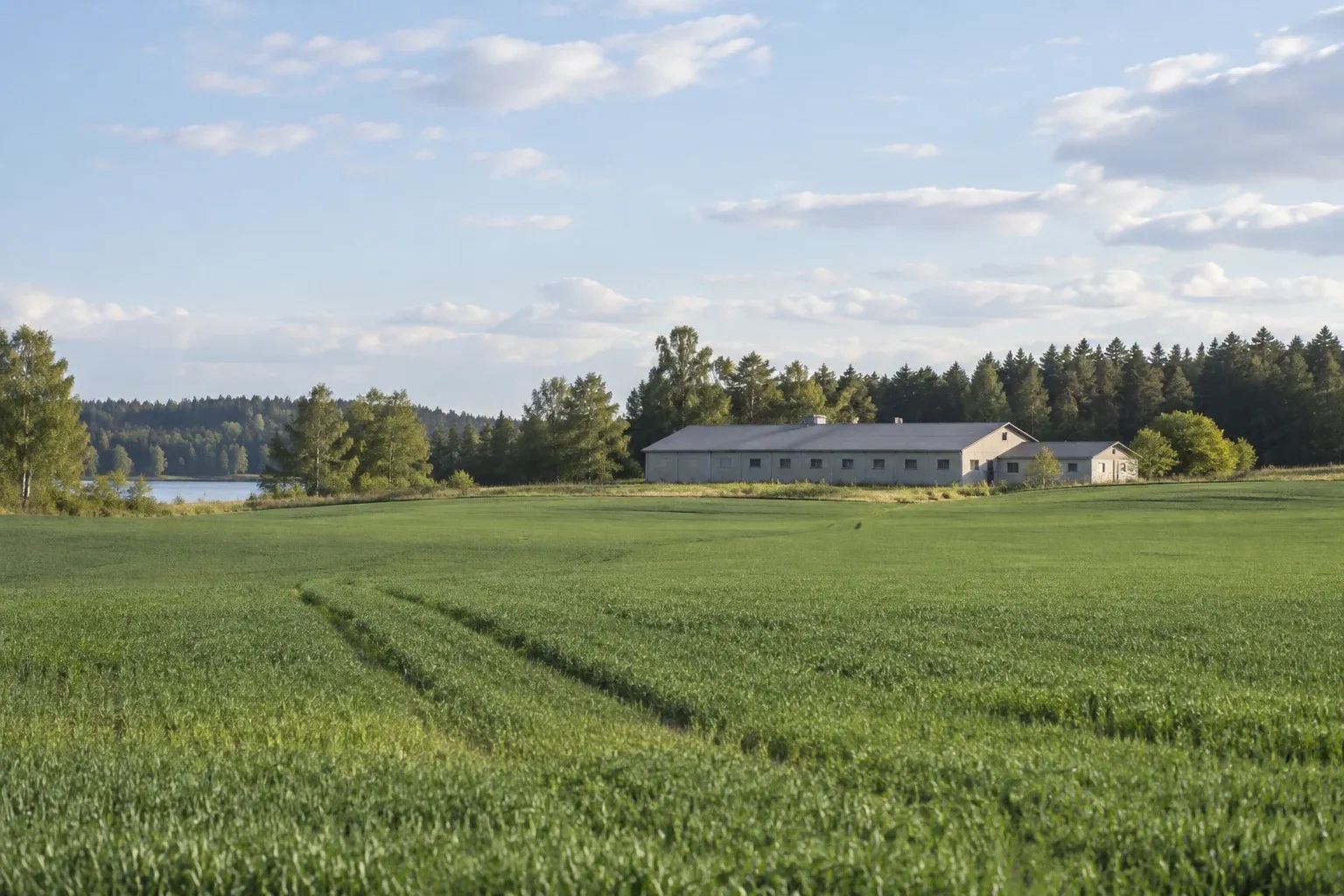 Gröna odlingsfält och ekonomibyggnad på landsbygd under ljus himmel